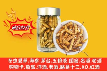 英山县回收散虫草