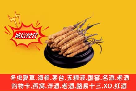 英山县求购回收虫草多少钱每克
